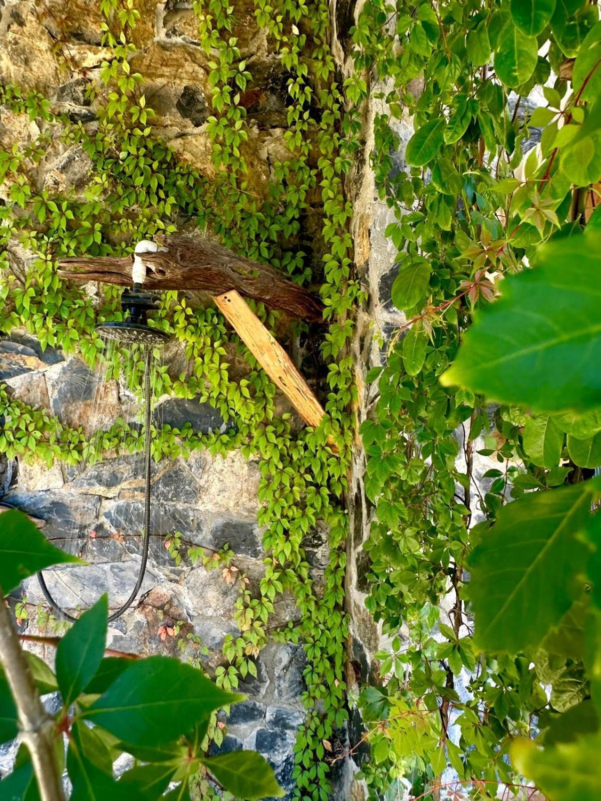 Casa Jasmin Bed & Breakfast Troncones Esterno foto